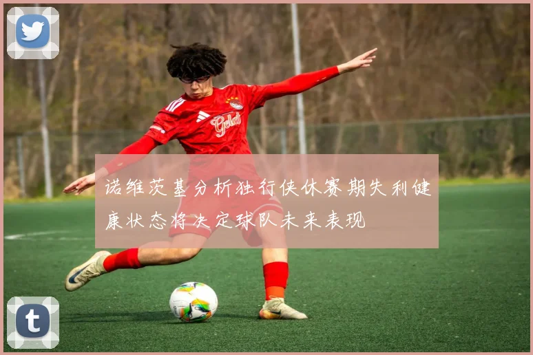 诺维茨基分析独行侠休赛期失利健康状态将决定球队未来表现