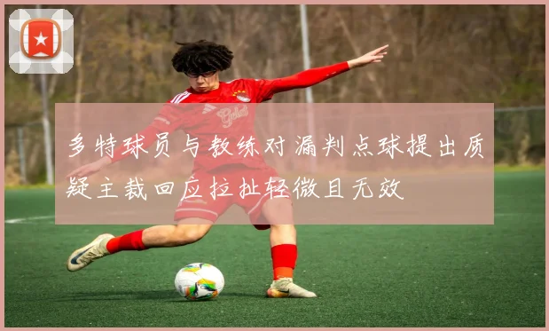 多特球员与教练对漏判点球提出质疑主裁回应拉扯轻微且无效