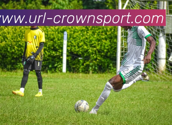 皇冠足球平台生态图