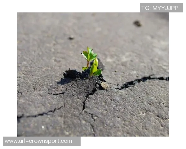 米切尔：失利是成长的机会我们会从中汲取经验继续前行