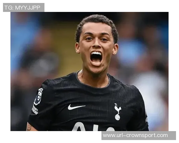 电讯报称水晶宫冬窗欲引热刺边锋布伦南约翰逊补强锋线